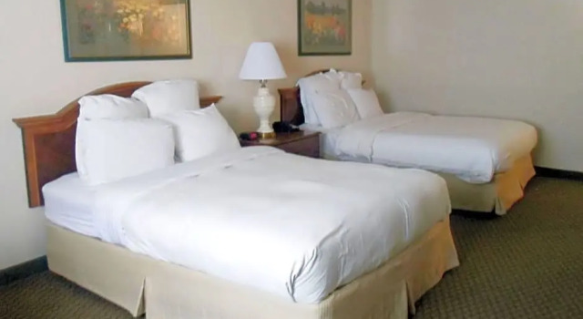 Номер Deluxe Quail Hollow Resort