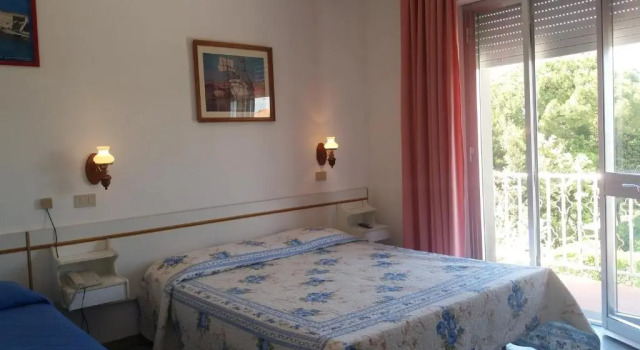 Номер Deluxe Hotel Ellymar