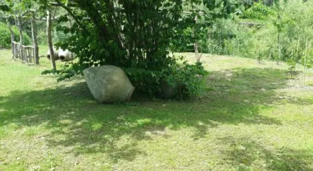 By The Wood