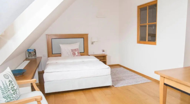 Номер Standard Gutshofhotel Winkler Bräu