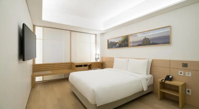 Двухместный номер Deluxe Sotetsu Hotels The Splaisir Seoul Myeongdong