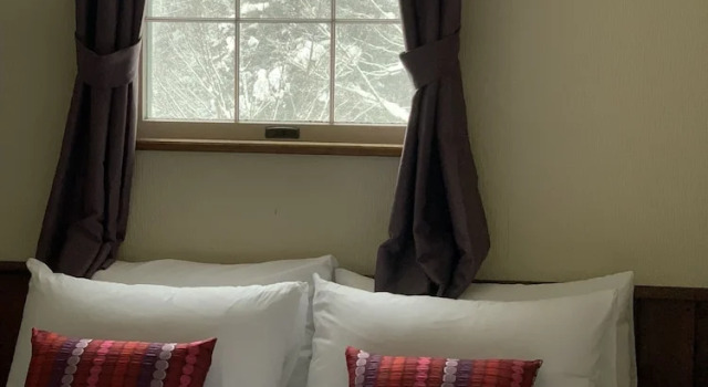 Двухместный номер Budget Wadano Forest Hotel & Apartments