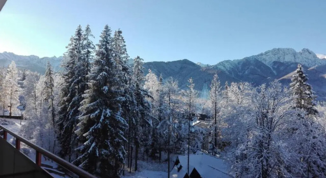 Двухместный номер Standard Geovita Zakopane