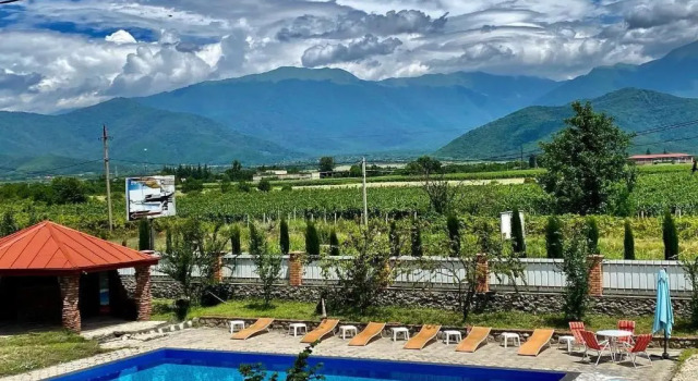 Barnavela Hotel / Wine cellar, Book Hotel Hotels in Kakheti with a Pool, Swimming Pool