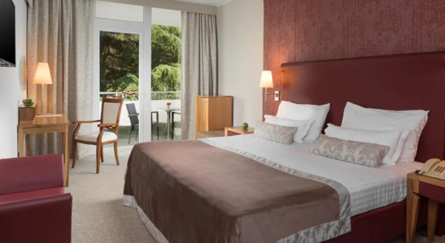 Номер Premium с балконом Hotel Pelegrin Plava Laguna