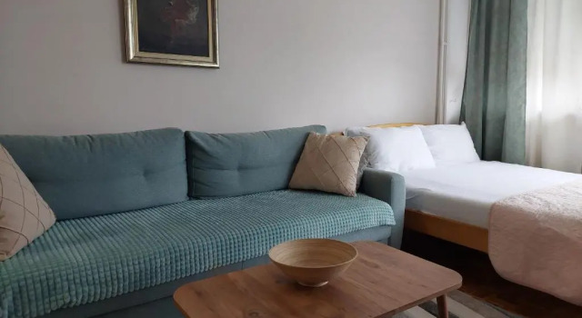 Студия Deluxe Green apartment