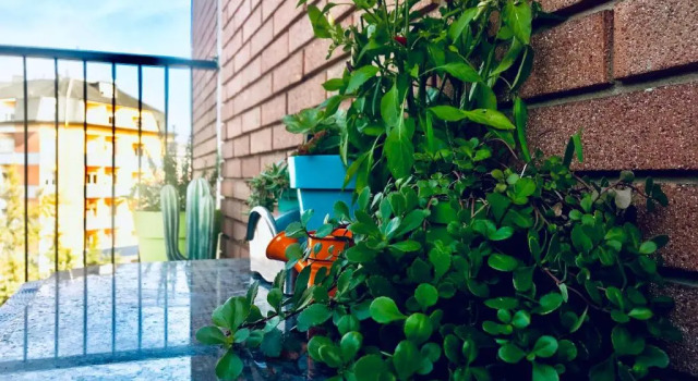Апартаменты Peony Apartment, bi-locale a due passi dal centro di Modena