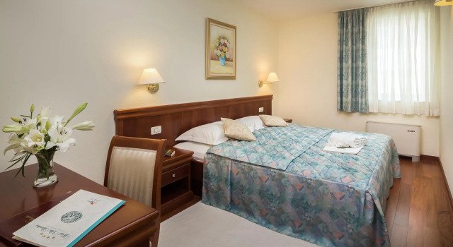 Одноместный номер Standard Hotel Villa Bacchus