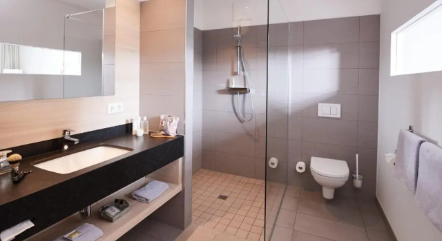 Двухместный номер Standard Seehotel Kressbronn
