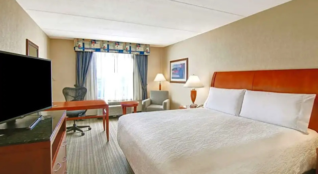 Люкс Standard Hilton Garden Inn Toronto/Burlington