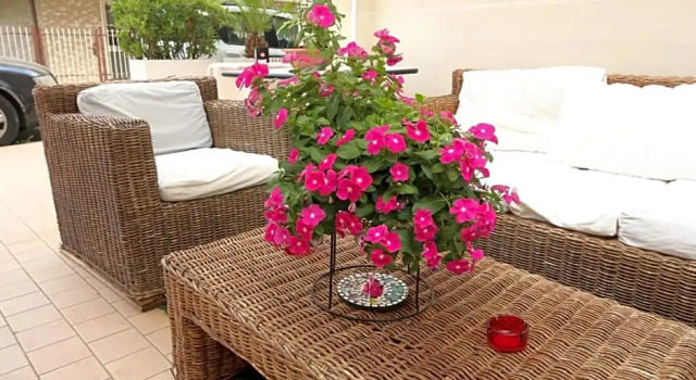 Hotel Soave, Забронировать Отель Мирамаре Римини
