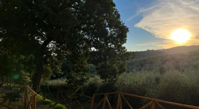 Одноместный номер Standard Agriturismo I Getsemani