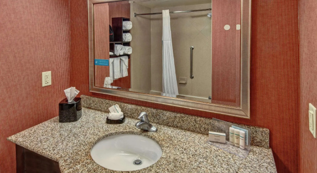 Четырёхместный номер Standard Hampton Inn Jacksonville-Anniston Area