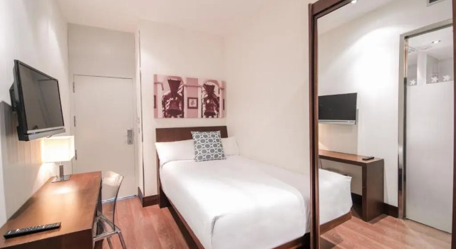 Одноместный номер Petit Palace Marques Santa Ana