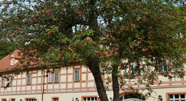 Люкс Schloss Lübbenau
