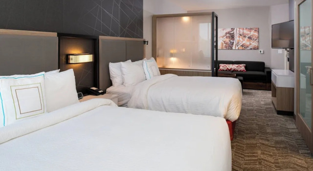 Двухместный люкс c 1 комнатой SpringHill Suites by Marriott Kansas City Northeast