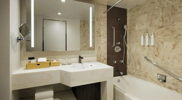 Двухместная студия Premium Courtyard by Marriott Tokyo Ginza Hotel