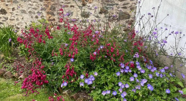Huoneisto Penarwyn House