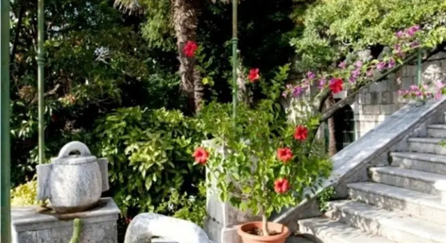 Номер Standard Villa Iveta