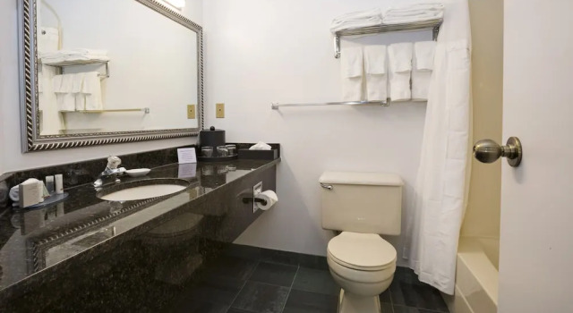 Люкс Deluxe Tower Inn & Suites
