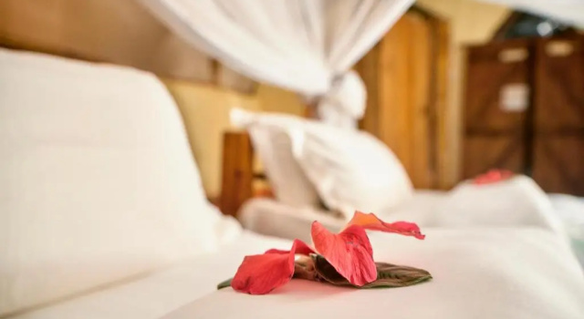 Standard Twin room with balcony Karama Lodge & Spa