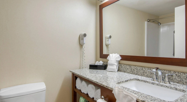 Четырёхместный номер Standard Comfort Inn Chester - Richmond South