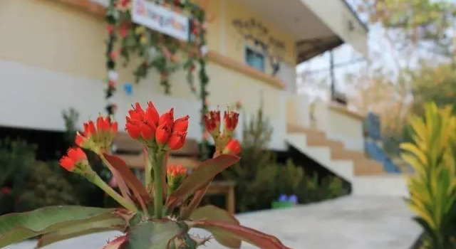Boat House Resort, Book Ferieresort Ko Sichang Chonburi