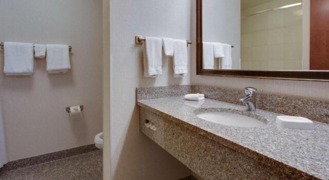 Четырёхместный номер Superior Drury Inn & Suites Baton Rouge