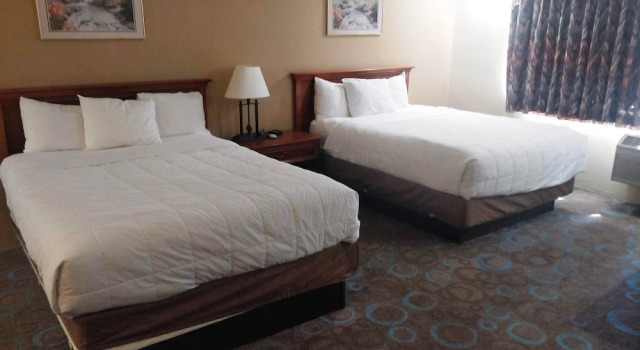 Четырёхместный номер Comfort Ventura Grand Inn