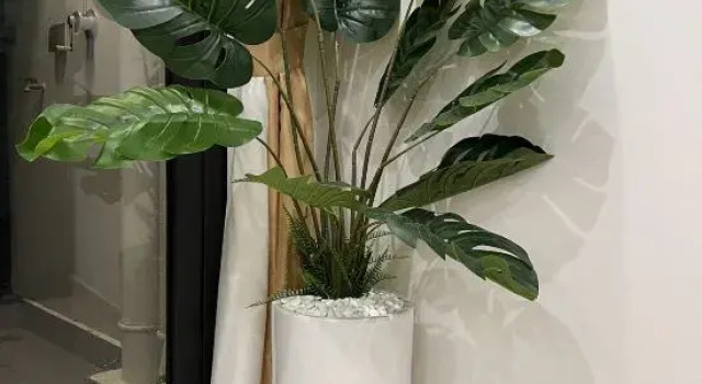 Люкс Deluxe Vinhomes Grand Park Homestay-ZEN Garden Origami Residence