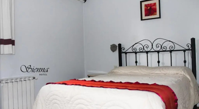 Двухместный номер Standard Hotel Sienna