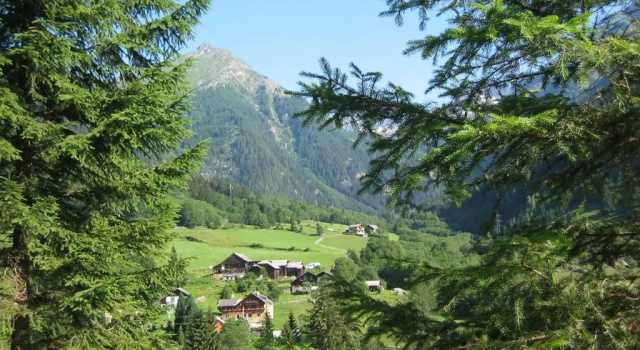 Номер Standard Gasthof Innerfraganterwirt
