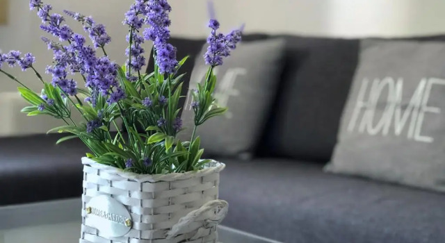 Апартаменты Apartments Villa Anna Sonia