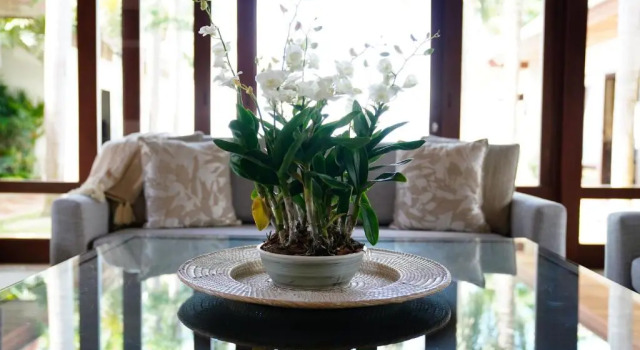 Вилла Miskawaan Villa Frangipani