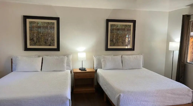 Doppel Suite TimberLodge Inn