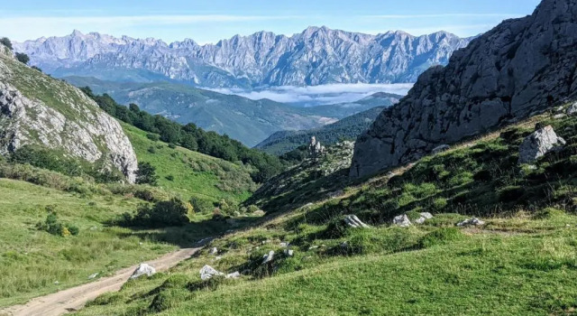 Апартаменты Apartamento Olmares Picos de Europa - 4 personas