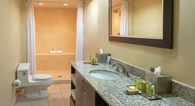 Deluxe suite junior DoubleTree by Hilton Norfolk Airport