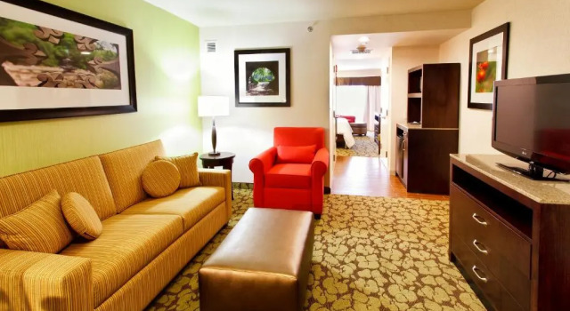 Двухместный полулюкс с диваном-кроватью Hilton Garden Inn New York / Staten Island