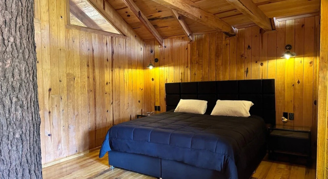 Superior Zimmer PINE TREE Hotel Boutique & Cabañas