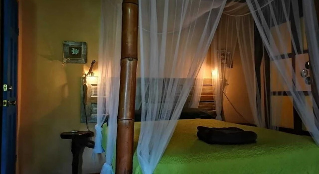 Mosana reef garden B&B, Rezerwuj Bed and Breakfast Hotele 3-gwiazdkowe w Bluff Beach, 3*