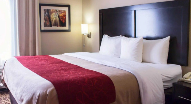 Номер Standard Comfort Inn & Suites Trussville I-59 Exit 141