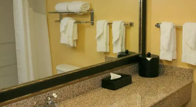 Номер Standard Best Western Plus Goldsboro