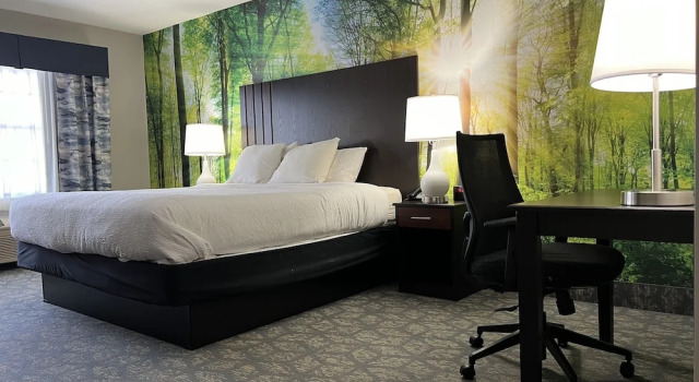 Номер Deluxe Spark By Hilton Freeport