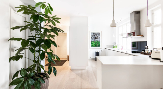 Dinesen Collection Luxury Condos By Royal Danish Theatre