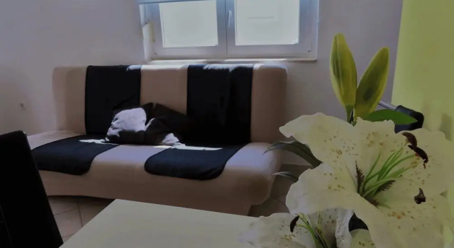 Apartments Maric