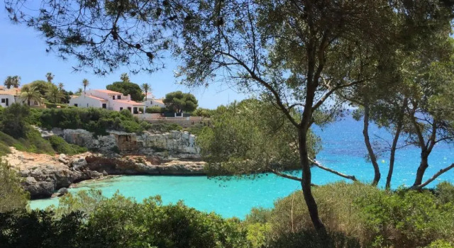Ses Gavines-Cala Anguila Apartments, Rezervați Apartament Cala Anguila Mallorca
