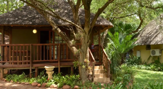 Номер Standard Acasia Guest Lodge