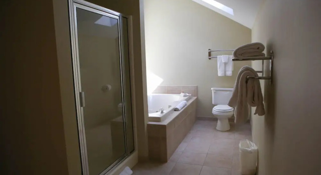 Люкс с 2 комнатами Silver Birches Resort