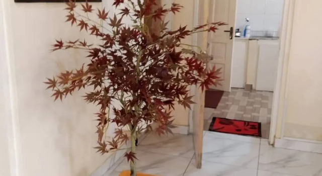 Номер Deluxe Marrets International Villa