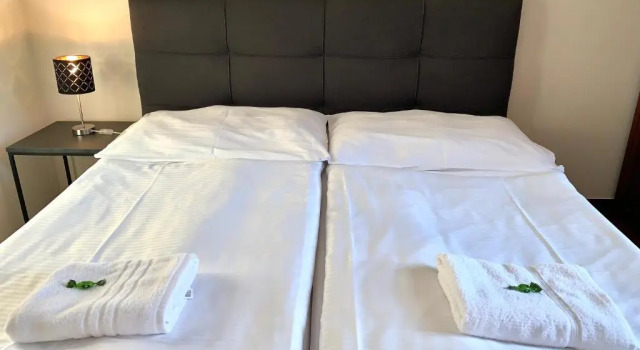 Двухместный номер Standard Hotel Buchlovice